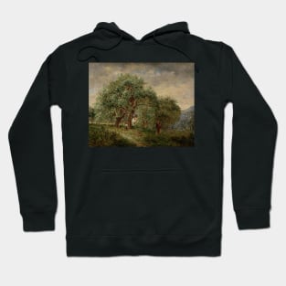 Spring Time by David Johnson Hoodie